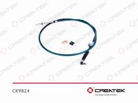 CK9824__1.jpg