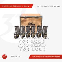 1004536413_Поршневая группа WP13, SHACMAN X6000, ОРИГИНАЛ_1.jpg