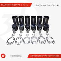 612630020024_Поршневая группа ЕВРО-3, WP12_1.jpg