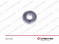 CK7310_1.jpg