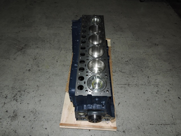 61560010095B-SHORT_Блок цилиндров в сборе с коленвалом и поршнями-3.JPG.