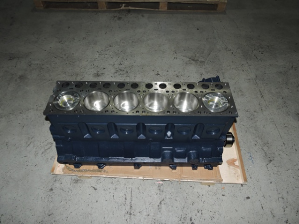 61560010095B-SHORT_Блок цилиндров в сборе с коленвалом и поршнями-2.JPG.