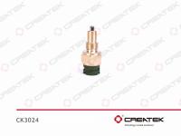 CK3024__1.jpg
