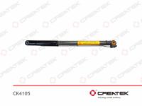 CK4105__1.jpg
