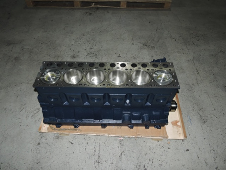 61560010095B-SHORT_Блок цилиндров в сборе с коленвалом и поршнями-2.JPG.